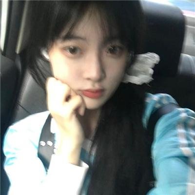 野生动物：无与伦比的有袋动物-树袋熊